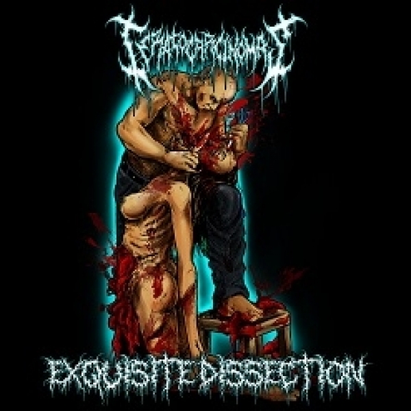 Exquisite Dissection​