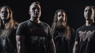 Disentomb