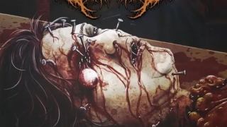 Vulgar Dissection