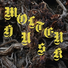 ABEST share the new track 'Molten Husk'