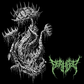 Flaahgra erupt with technical brutality in new single and video 'Garden Cascade' Flaahgra erupt with technical brutality in new single and video 'Garden Cascade'