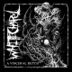 WHITECHAPEL have released their new single 'A Visceral Retch'
